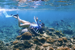 big island tours & activities