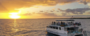 kona hawaii whale watching