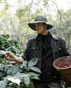 kona coffee tours 