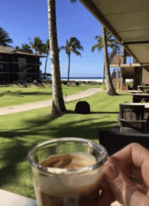kona coffee tours 